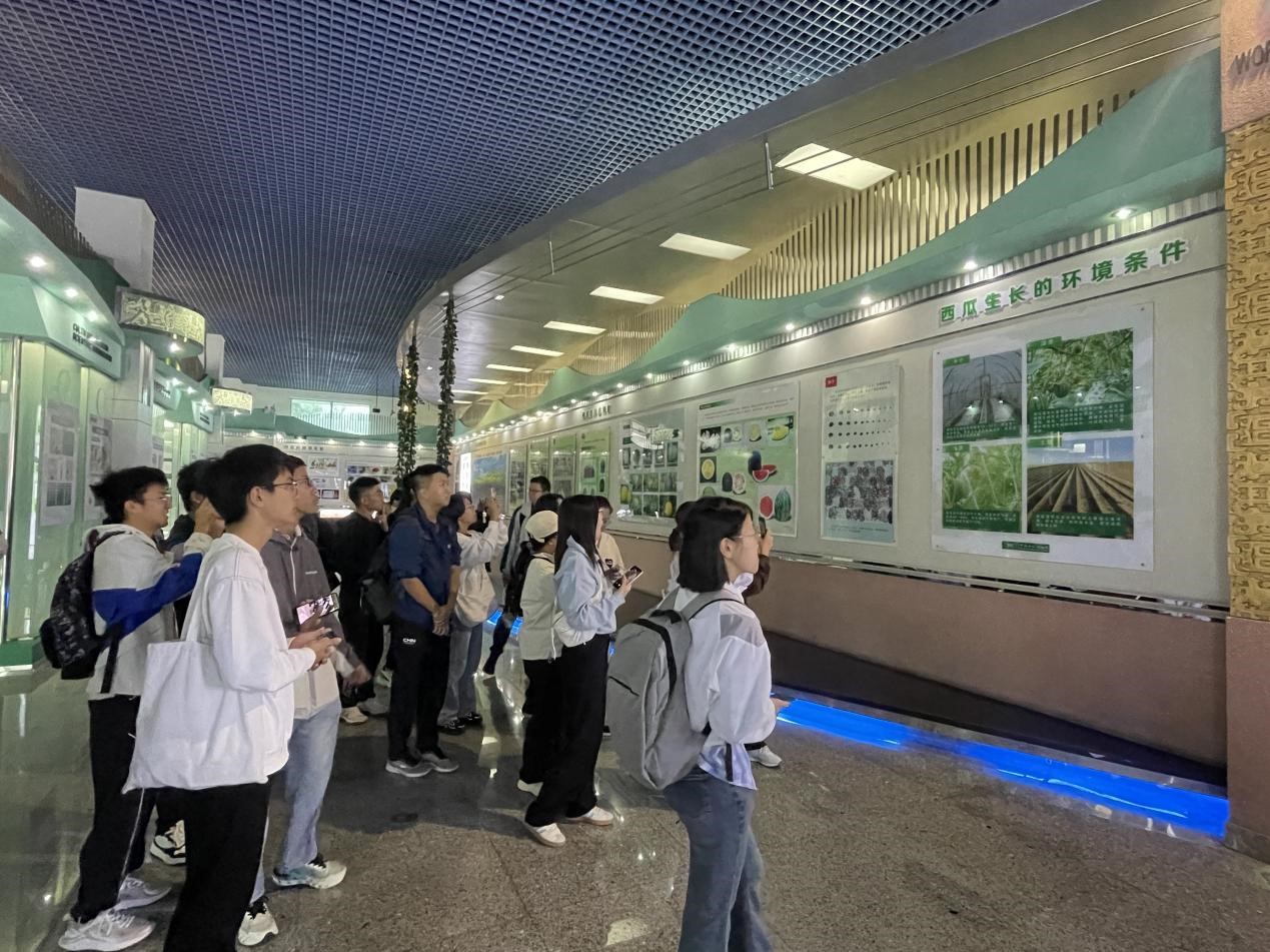 betway西汉姆联官网